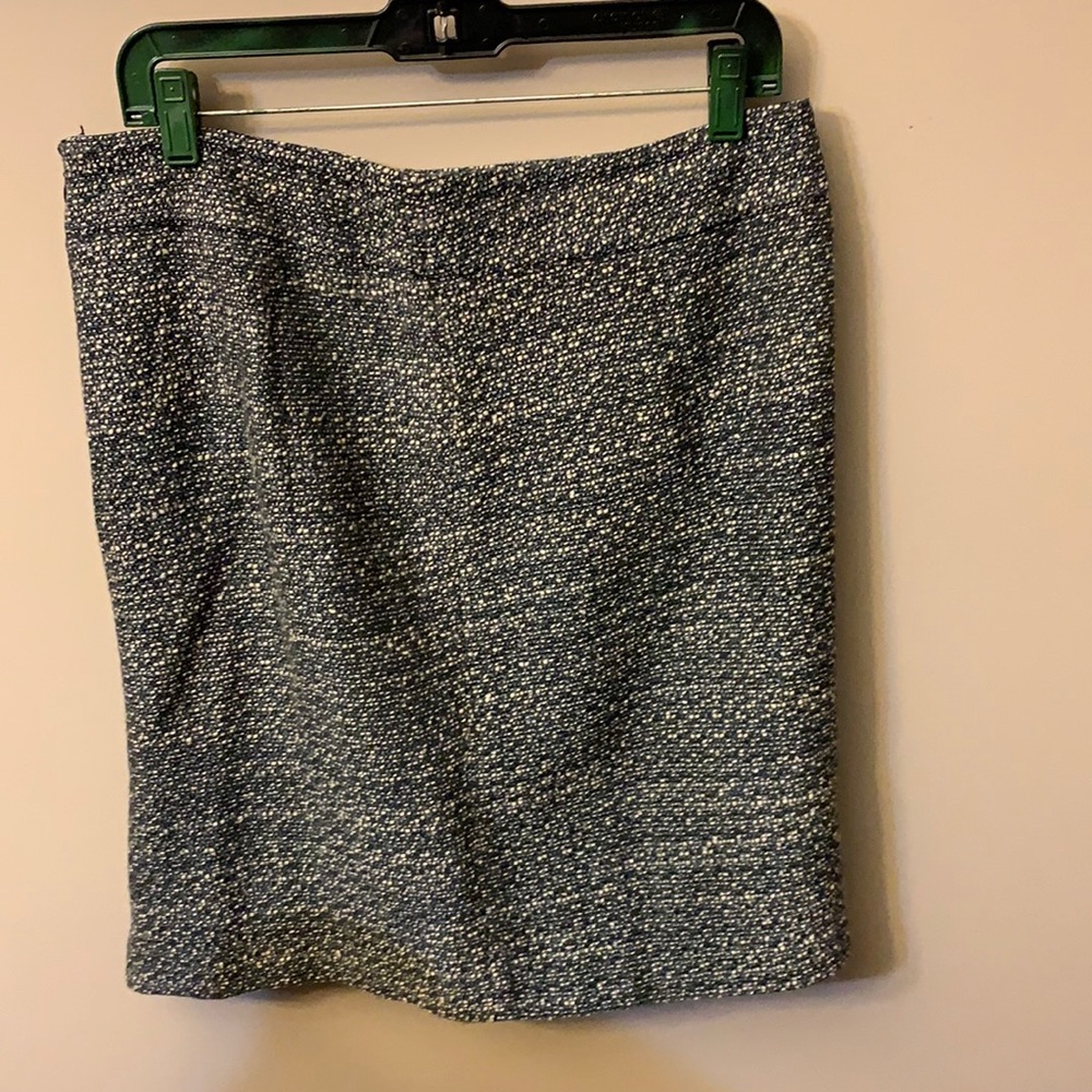 Ann Taylor skirt
